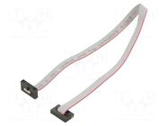 Ribbon cable with IDC connectors; IDC,both sides; 254mm; 10" SAMTEC