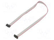 Ribbon cable with IDC connectors; IDC,both sides; 270.51mm SAMTEC
