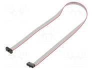 Ribbon cable with IDC connectors; IDC,both sides; 299.72mm SAMTEC