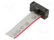 Ribbon cable with IDC connectors; IDC,wires; Tape ph: 0.64mm SAMTEC