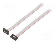 Ribbon cable with IDC connectors; IDC,both sides; 1168.4mm SAMTEC
