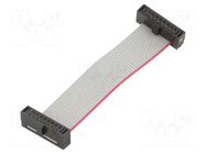 Ribbon cable with IDC connectors; IDC,both sides; 50.8mm; 2" SAMTEC