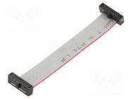 Ribbon cable with IDC connectors; IDC,both sides; 69.85mm SAMTEC