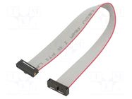 Ribbon cable with IDC connectors; IDC,both sides; 152.4mm; 6" SAMTEC