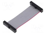 Ribbon cable with IDC connectors; IDC,both sides; 50.8mm; 2" SAMTEC