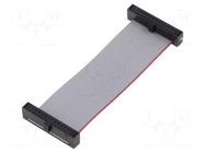 Ribbon cable with IDC connectors; IDC,both sides; 57.15mm SAMTEC