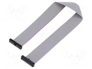 Ribbon cable with IDC connectors; IDC,both sides; 254mm; 10" SAMTEC