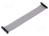 Ribbon cable with IDC connectors; IDC,both sides; 121.92mm SAMTEC