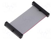 Ribbon cable with IDC connectors; IDC,both sides; 50.8mm; 2" SAMTEC