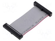 Ribbon cable with IDC connectors; IDC,both sides; 50.8mm; 2" SAMTEC