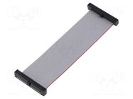 Ribbon cable with IDC connectors; IDC,both sides; 82.55mm SAMTEC