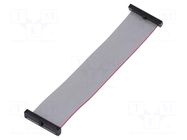Ribbon cable with IDC connectors; IDC,both sides; 114.3mm; 4.5" SAMTEC