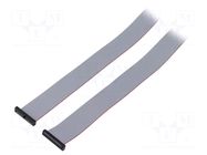 Ribbon cable with IDC connectors; IDC,both sides; 1016mm; 40" SAMTEC