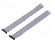 Ribbon cable with IDC connectors; IDC,both sides; 2514.6mm SAMTEC