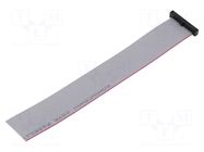 Ribbon cable with IDC connectors; IDC,wires; Tape ph: 0.64mm SAMTEC