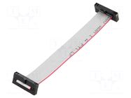 Ribbon cable with IDC connectors; IDC,both sides; 101.6mm; 4" SAMTEC