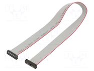 Ribbon cable with IDC connectors; IDC,both sides; 270.51mm SAMTEC