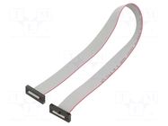 Ribbon cable with IDC connectors; IDC,both sides; 304.8mm; 12" SAMTEC