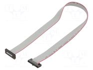 Ribbon cable with IDC connectors; IDC,both sides; 340.36mm SAMTEC