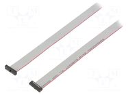 Ribbon cable with IDC connectors; IDC,both sides; 1099.82mm SAMTEC