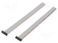 Ribbon cable with IDC connectors; IDC,both sides; 1600.2mm SAMTEC
