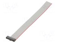 Ribbon cable with IDC connectors; IDC,wires; Tape ph: 0.64mm SAMTEC