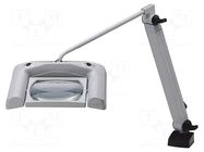 Desk magnifier; with backlight; 3dpt; 175x105mm; 13W; 4000K; IP20 WALDMANN