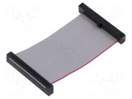 Ribbon cable with IDC connectors; IDC,both sides; 50.8mm; 2" SAMTEC