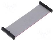 Ribbon cable with IDC connectors; IDC,both sides; 88.9mm; 3.5" SAMTEC