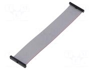 Ribbon cable with IDC connectors; IDC,both sides; 149.86mm SAMTEC