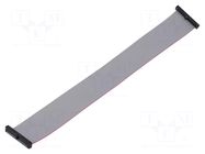 Ribbon cable with IDC connectors; IDC,both sides; 219.96mm SAMTEC