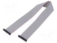 Ribbon cable with IDC connectors; IDC,both sides; 381mm; 15" SAMTEC