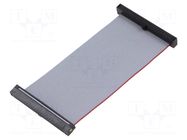 Ribbon cable with IDC connectors; IDC,both sides; 76.2mm; 3" SAMTEC