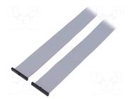 Ribbon cable with IDC connectors; IDC,both sides; 1003.3mm SAMTEC