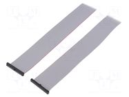 Ribbon cable with IDC connectors; IDC,both sides; 1498.6mm SAMTEC