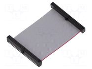 Ribbon cable with IDC connectors; IDC,both sides; 50.8mm; 2" SAMTEC