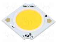 Power LED; white; COB; 11.9W; 4000K; 2133lm; CRImin: 80; 350mA; SLE TRIDONIC