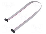 Ribbon cable with IDC connectors; IDC,both sides; 254.25mm SAMTEC