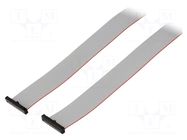 Ribbon cable with IDC connectors; IDC,both sides; 914.4mm; 36" SAMTEC