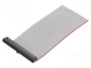 Ribbon cable with IDC connectors; IDC,wires; Tape ph: 0.64mm SAMTEC