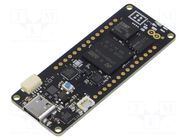 Dev.kit: Arduino Pro; prototype board; Comp: ECC608; Ethernet ARDUINO