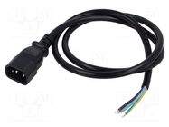 Cable; 3x1mm2; IEC C14 male,wires; PVC; 1m; black; 10A; 250V LIAN DUNG