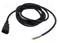 Cable; 3x1mm2; IEC C14 male,wires; PVC; 3m; black; 10A; 250V LIAN DUNG