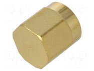 Accessories: protection cover; chain; gold-plated; IP67 GCT