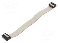 Ribbon cable with IDC connectors; Tape ph: 1.27mm; 0.2m CONNFLY