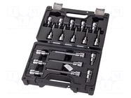 Wrench-set; socket spanner,Torx®; 1/2"; Beta Worker; 18pcs. BETA