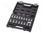 Wrench-set; Torx® socket,socket spanner,Torx®; 1/2"; 17pcs. BETA