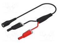 Test lead; BNC plug,banana plug 4mm x2; insulated; Len: 2m; black ELECTRO-PJP