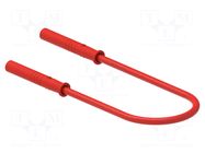 Test lead; 60VDC; 30VAC; 10A; banana socket 2mm,both sides; red ELECTRO-PJP