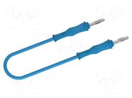 Test lead; 60VDC; 30VAC; 12A; probe tip,banana plug 4mm; Len: 2m ELECTRO-PJP